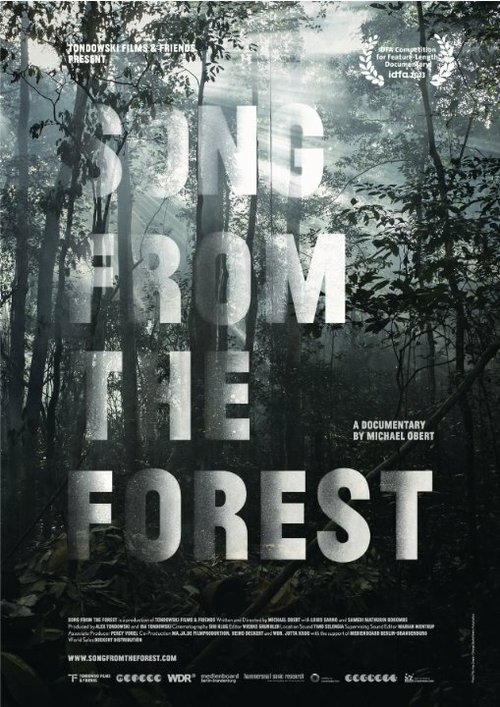 Song from the Forest (2013) смотреть онлайн