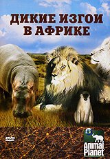 Animal Planet: Дикие изгои в Африке