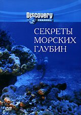 Секреты морских глубин