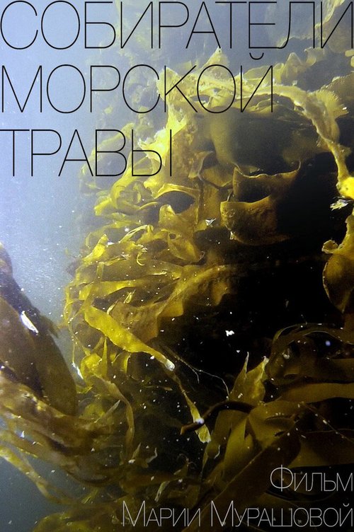 Собиратели морской травы