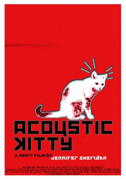 Acoustic Kitty