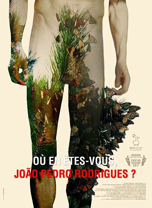 Où en êtes-vous, João Pedro Rodrigues?