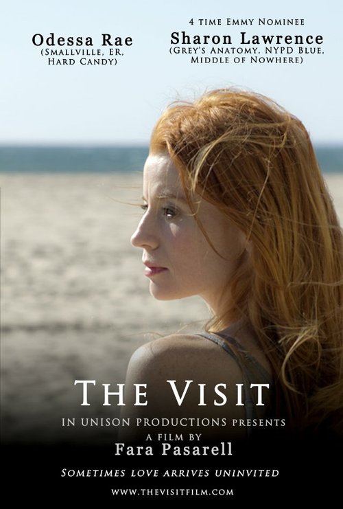 The Visit