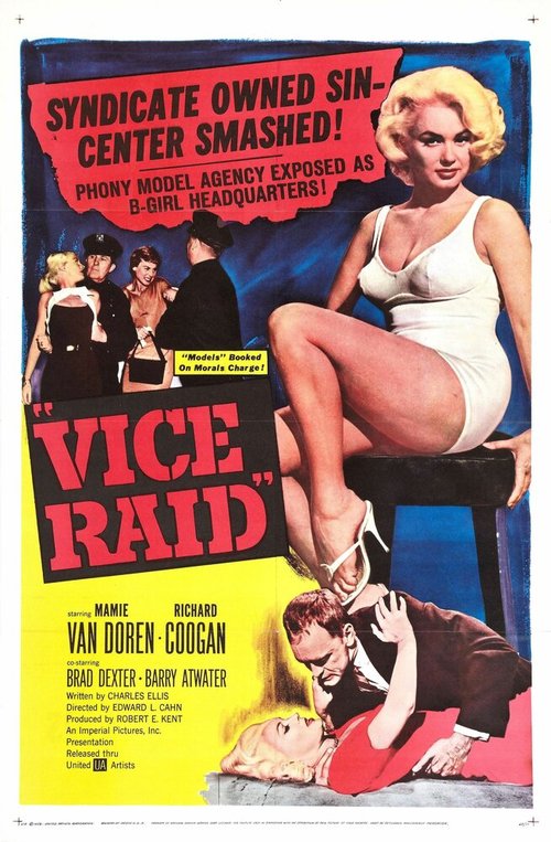 Vice Raid