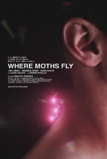 Where Moths Fly