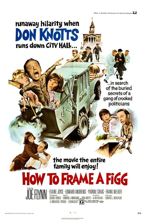 How to Frame a Figg