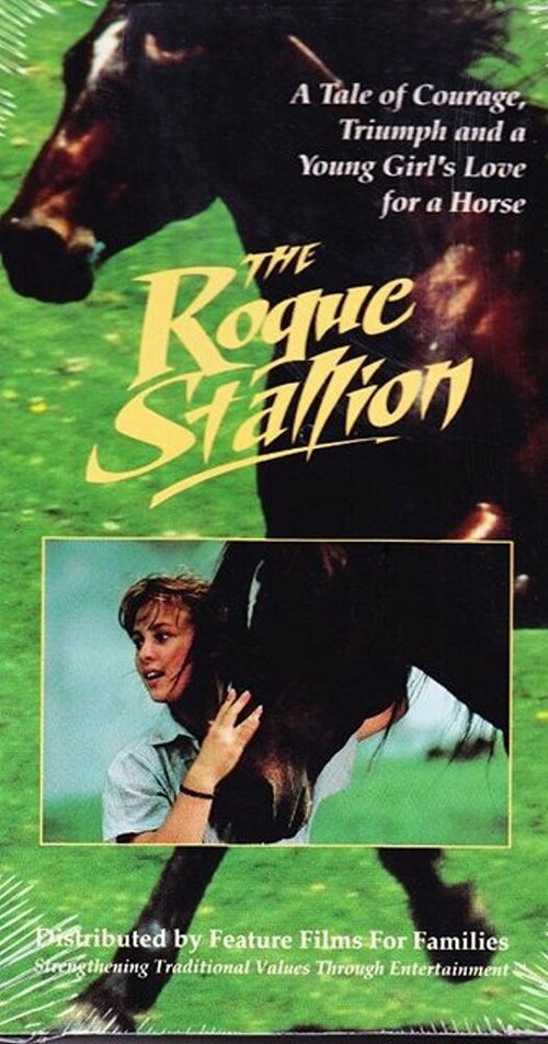 The Rogue Stallion