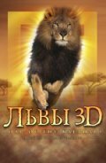 Львы 3D