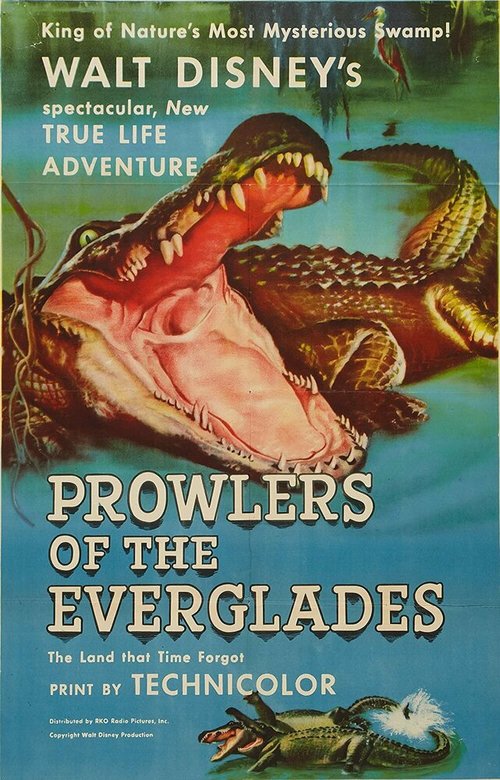 Prowlers of the Everglades (1953) смотреть онлайн