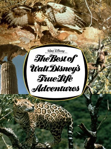 The Best of Walt Disney's True-Life Adventures (1975) смотреть онлайн